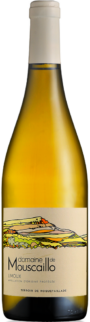 Cuve Mouscaillo vin blanc domaine mouscaillo